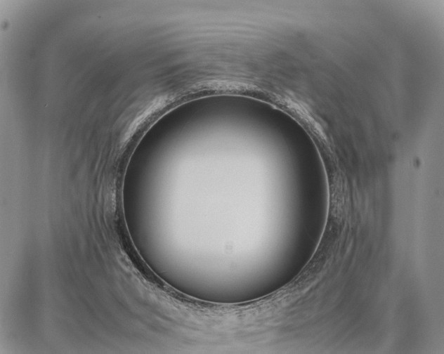 X0000087320015200704271439