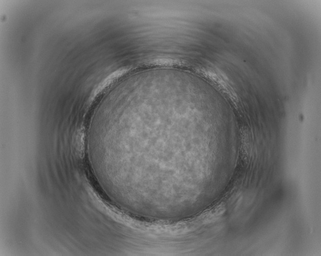X0000087320016200704271439