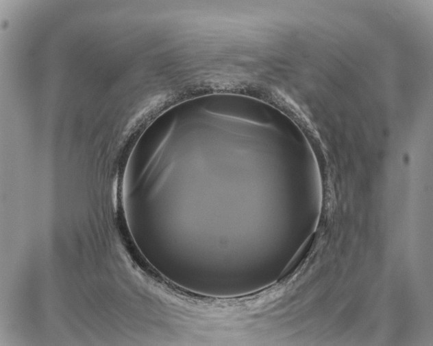 X0000087320019200704271439