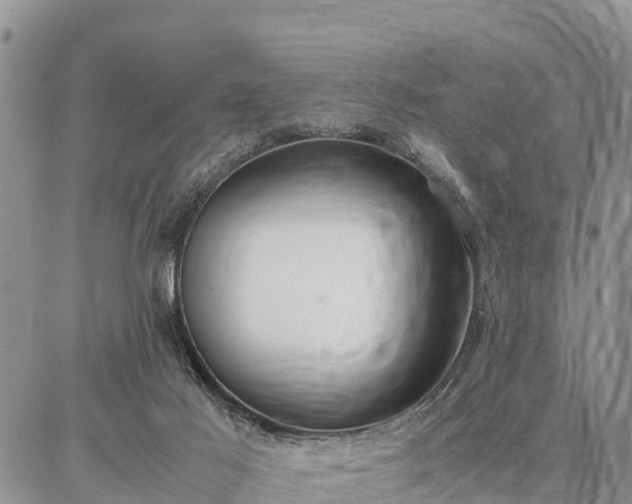 X0000087320021200704271439