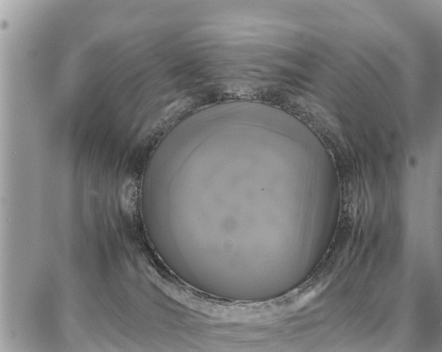 X0000087320036200704271438