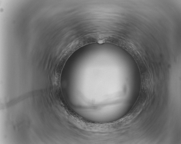 X0000087320044200704271438
