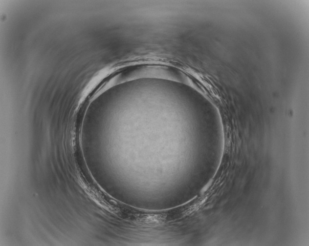 X0000087320056200704271438