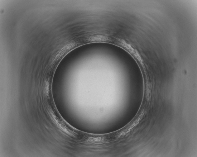 X0000087320057200704271438