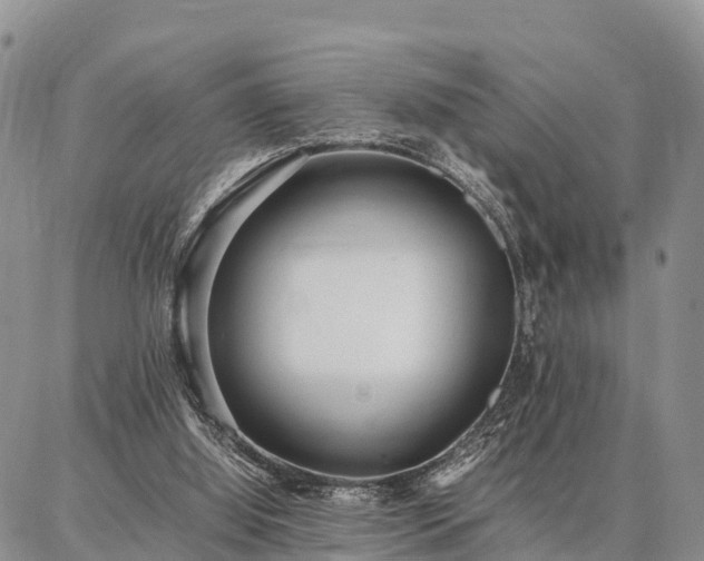 X0000087320060200704271438