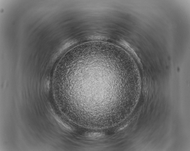 X0000087320063200704271438