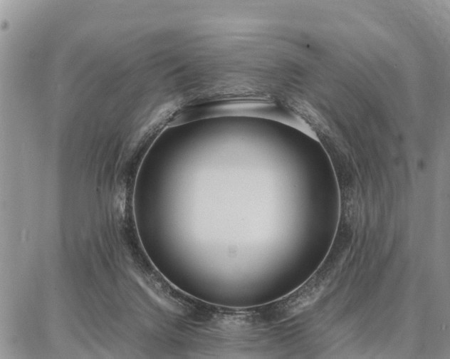 X0000087320072200704271438