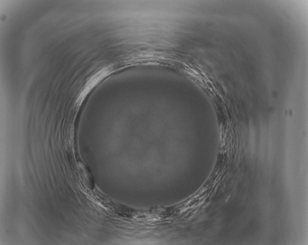X0000087320099200704271437