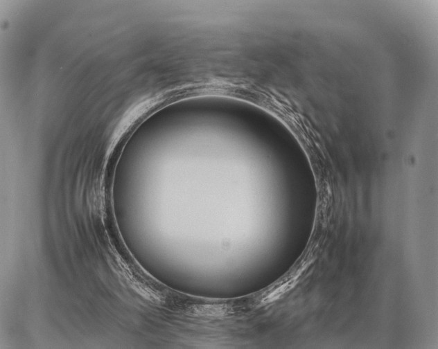 X0000087320102200704271437