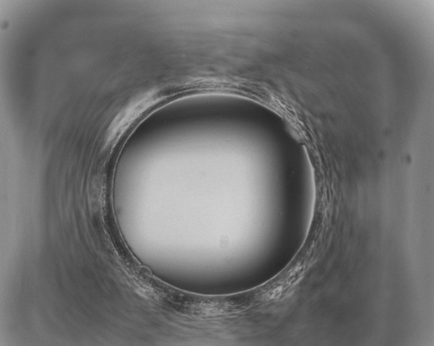 X0000087320103200704271437