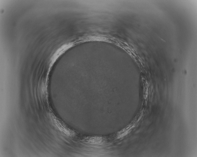 X0000087320104200704271437