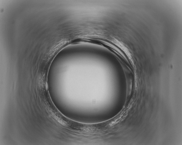 X0000087320105200704271437