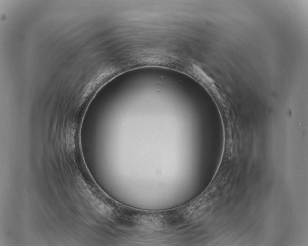 X0000087320106200704271437