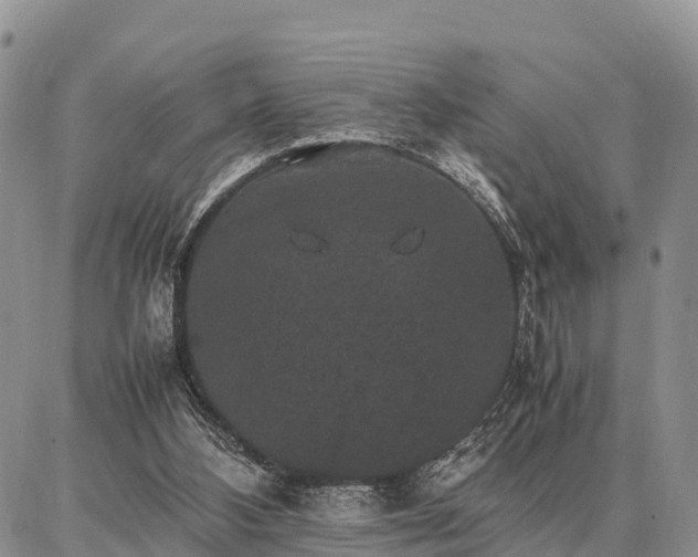X0000087320108200704271437