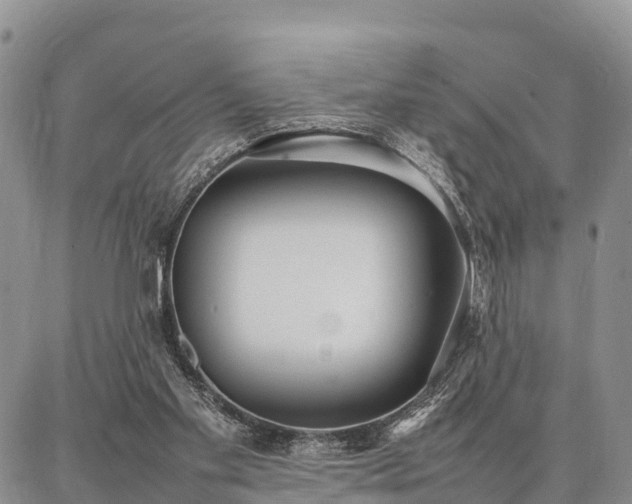 X0000087320109200704271437