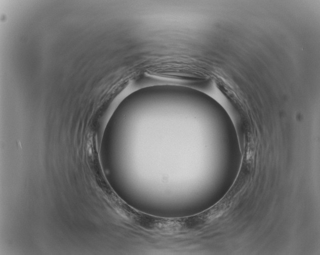 X0000087320125200704271437