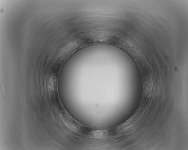 X0000087320126200704271437