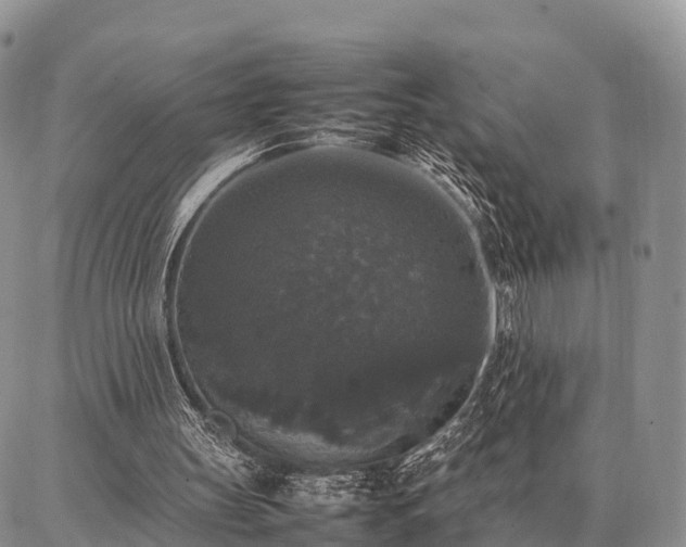 X0000087320147200704271436