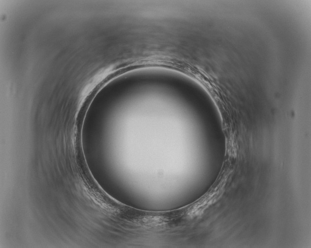 X0000087320152200704271436