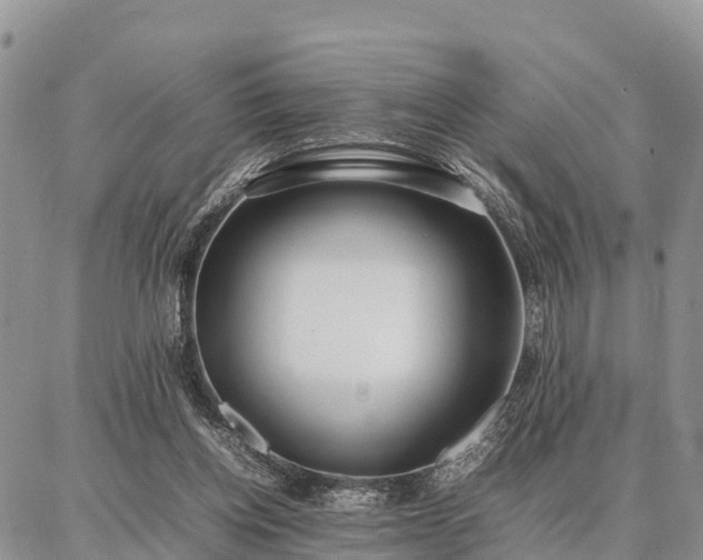 X0000087320158200704271436