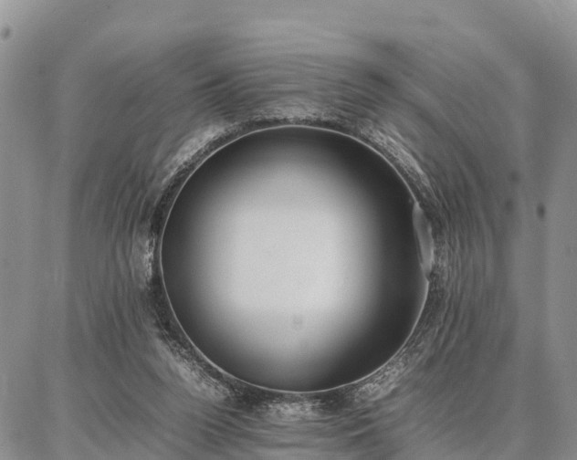 X0000087320160200704271436