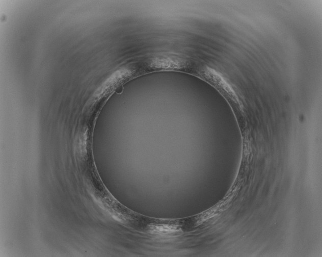 X0000087320163200704271436