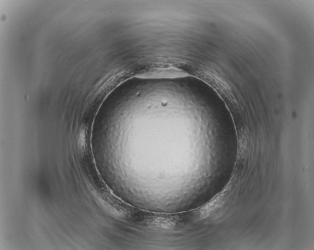 X0000087320166200704271436