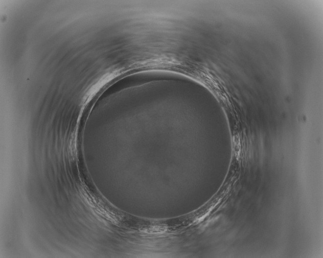 X0000087320196200704271436