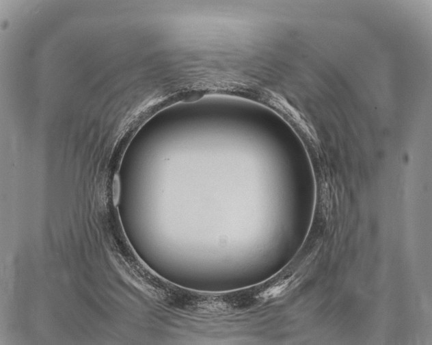 X0000087320203200704271436