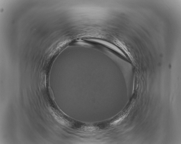 X0000087320205200704271436