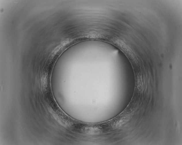 X0000087320208200704271436