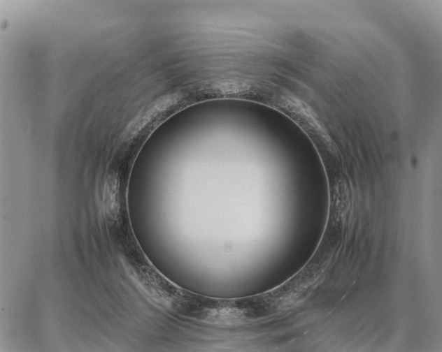 X0000087320212200704271436
