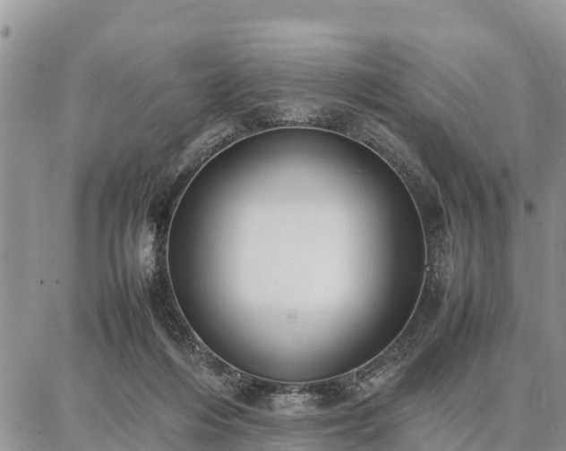 X0000087320216200704271436