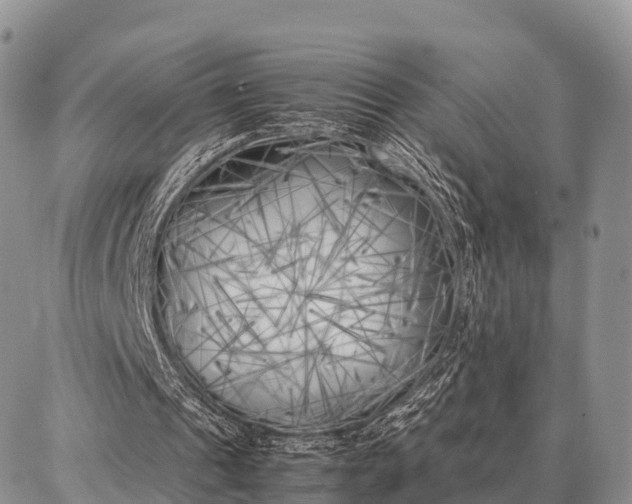 X0000087320241200704271434