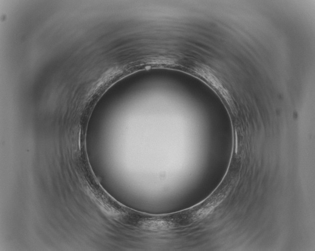 X0000087320253200704271435