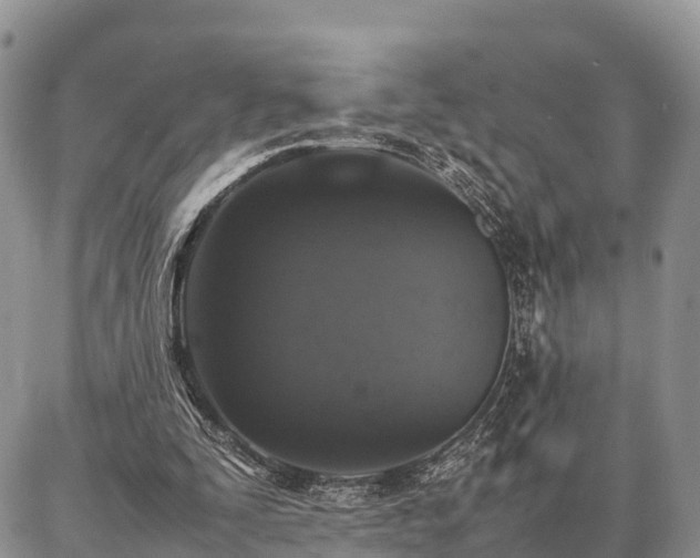 X0000087320295200704271434