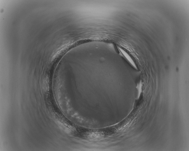 X0000087320303200704271434