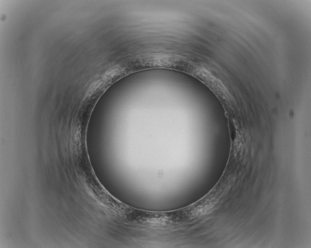 X0000087320306200704271434