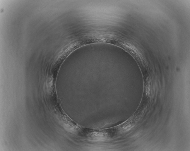 X0000087320314200704271434