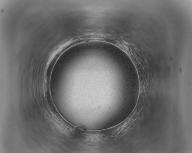 X0000087320342200704271433