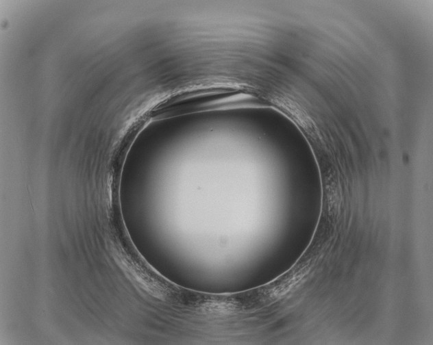 X0000087320350200704271433