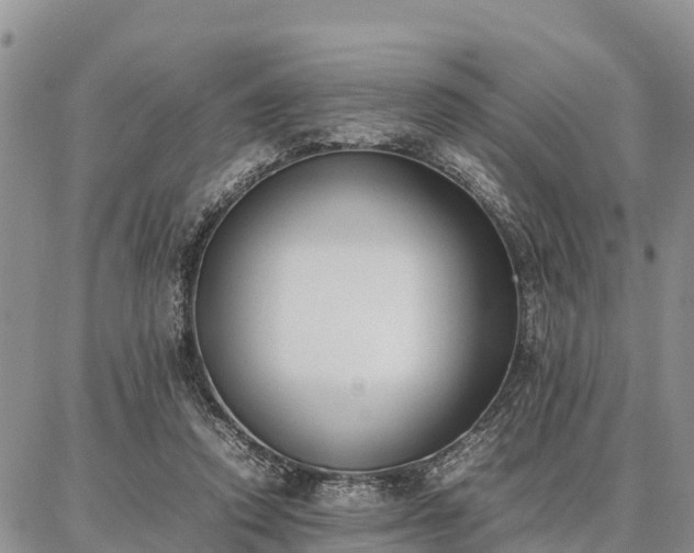 X0000087320354200704271433
