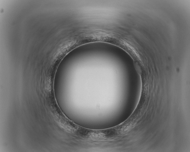 X0000087320403200704271432
