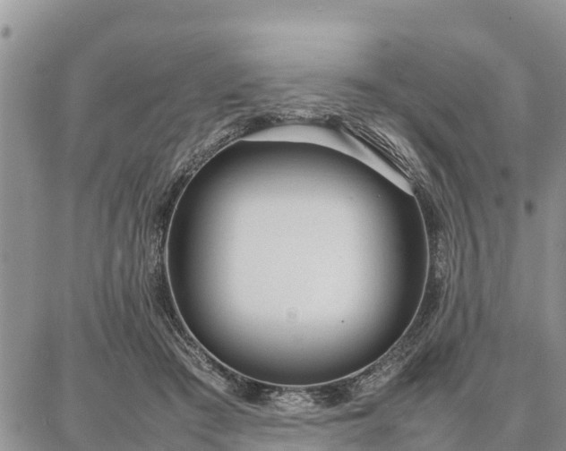 X0000087320409200704271432