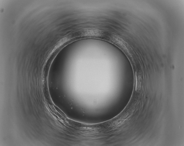 X0000087320435200704271431