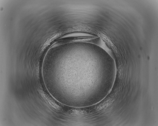 X0000087320442200704271431