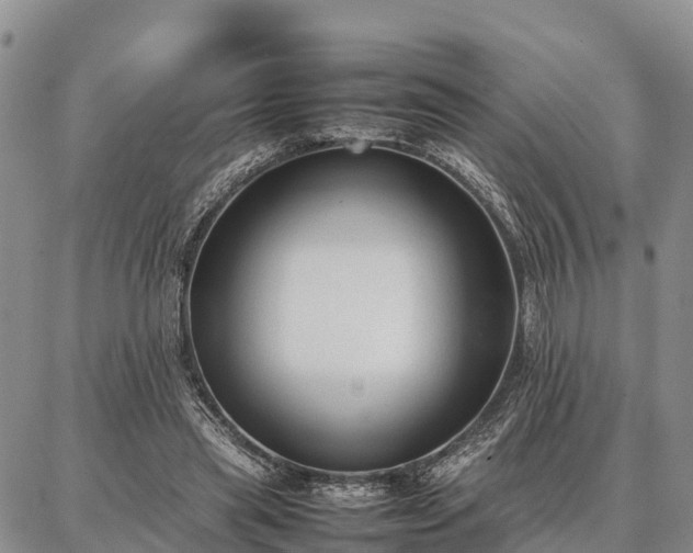 X0000087320445200704271431