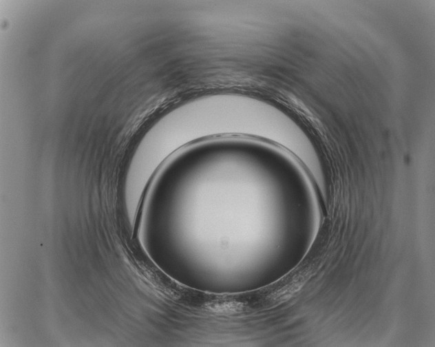 X0000087320452200704271432