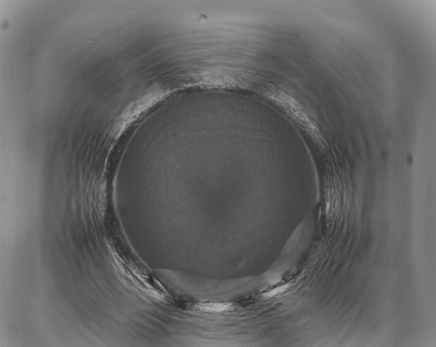 X0000087320488200704271431