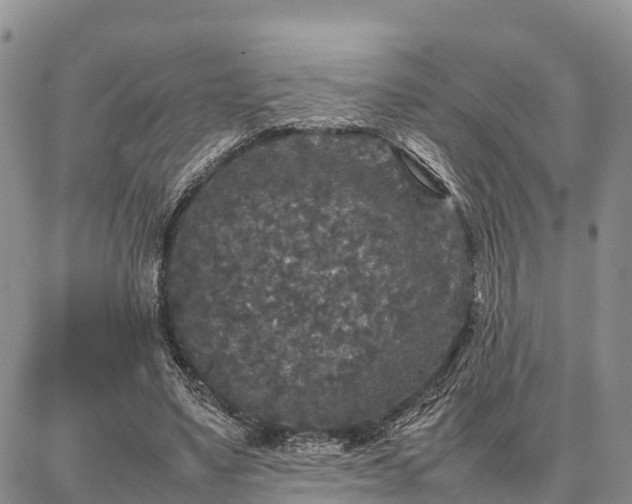 X0000087320491200704271431